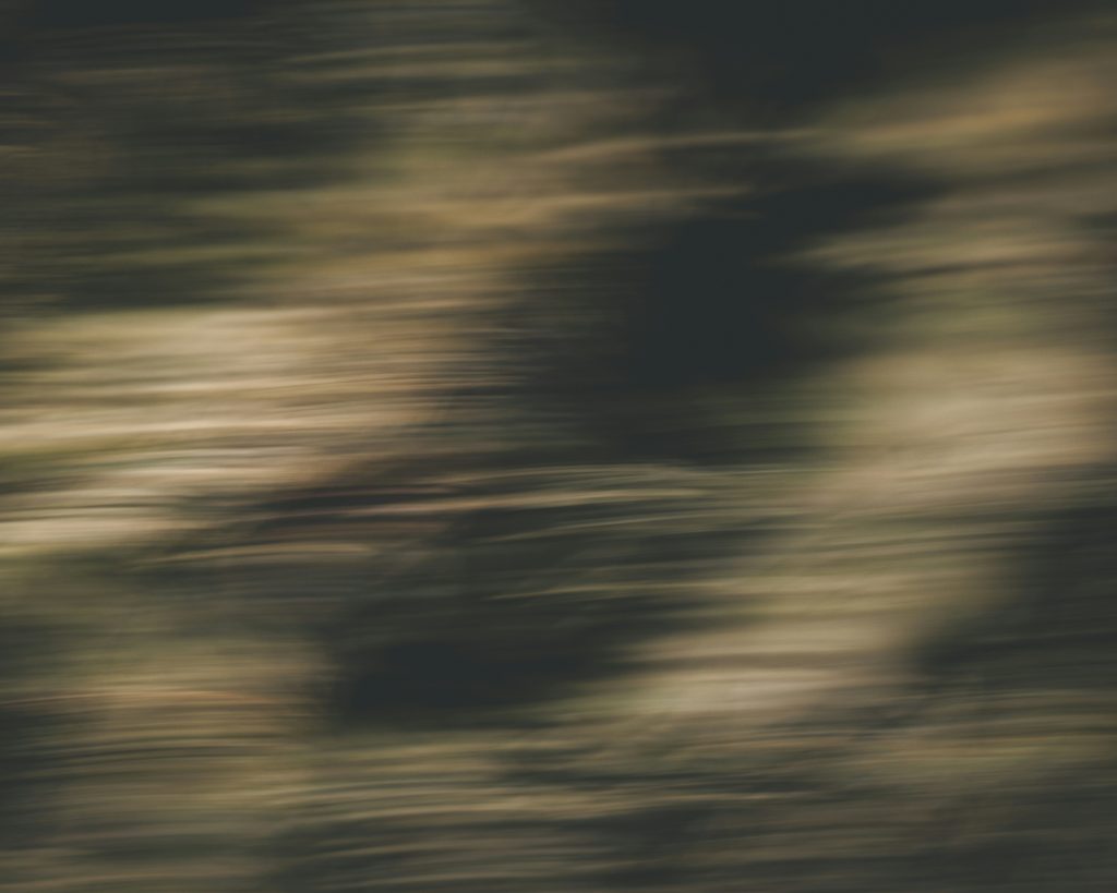 Blurry motion of grass