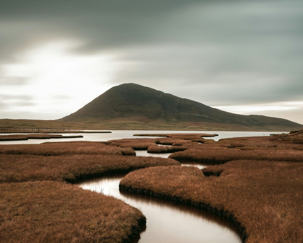 Mountain in the background of brown grass and streams of water
